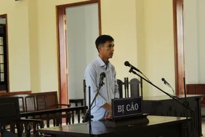 Giám đốc làm giả giấy tờ để kiếm chác từ dự án cầu Cần Thơ 