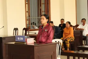 Vì 1 con gà, người bị thương, người hầu tòa