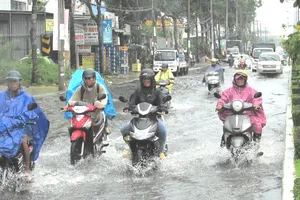 Chủ tịch Cần Thơ: Phải đảm bảo ATGT khi triều cường dâng cao