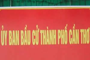 Cần Thơ: 4 người tự ứng cử đại biểu Quốc hội và HĐND 
