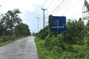 Cần Thơ chấp thuận cho Tập đoàn SOVICO nghiên cứu 2 dự án lớn