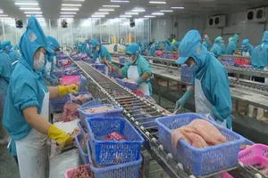 Cần Thơ và các tỉnh Nam Sông Hậu sẽ liên kết thực hiện 'mục tiêu kép'