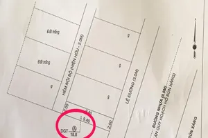 Tòa Cấp cao tuyên UBND quận Ninh Kiều thua kiện vì mở lối đi sai