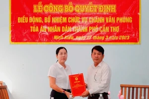 Tân chánh văn phòng TAND TP Cần Thơ: 'Nhận quyết định bổ nhiệm nhưng chưa thi hành'