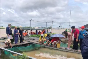 Cần Thơ đón hơn 5,9 triệu lượt khách du lịch, đạt doanh thu 5.420 tỉ 