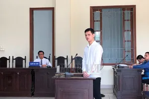  Hộp sữa đặc biệt và mức án 17 năm tù