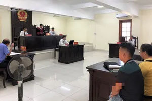 Chủ tịch Cần Thơ giao Sở Tư pháp tăng cường kiểm tra việc thi hành án hành chính 