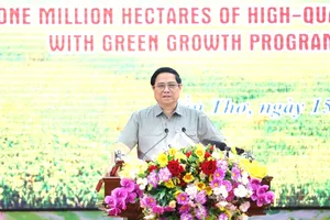 Thủ tướng Phạm Minh Chính yêu cầu tăng tốc, bứt phá để đạt 1 triệu ha lúa chất lượng cao 