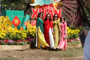 TP Cần Thơ làm đường hoa nghệ thuật xuân Ất Tỵ 2025 hơn 5,8 tỉ đồng