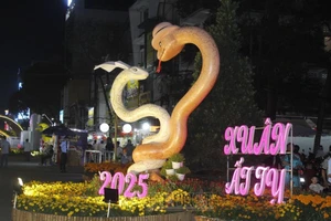 TP Cần Thơ khai mạc Đường hoa nghệ thuật Xuân Ất Tỵ 2025