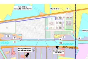 Đầu tư 8.000 tỉ để biến trấu, rơm thành điện ở Cần Thơ 