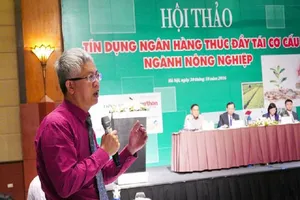 Cần thành lập ngân hàng đất?