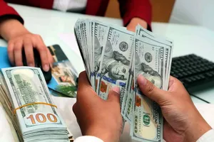 Chưa có cơ sở để lo lắng về sự mất giá của tiền Việt