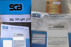 Phát hiện giám định đá quý hơn 17 tỉ đồng là... dỏm