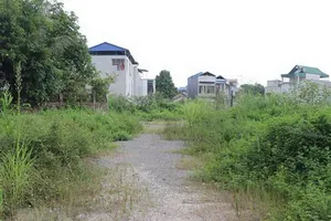 Đất dính quy hoạch sắp được 'cởi trói'