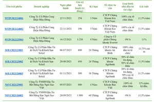 Tác động của vụ Tân Hoàng Minh đối với ngân hàng, BĐS và thị trường trái phiếu