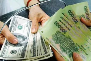 Tiền đồng mất giá bao nhiêu từ đầu năm đến nay?