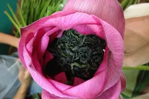 Trà sen để lâu có hại không?