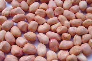 Chăm sóc chế độ ăn cho người già thế nào?