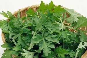 Trắng da nhanh chóng với mặt nạ rau xanh