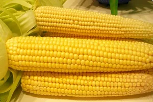 Tích cực ăn bắp luộc đề phòng bệnh tim mạch