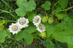 Cách đơn giản giã từ bệnh mất ngủ