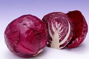 Tác dụng kỳ diệu của rau cải bắp với sức khỏe