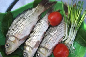 5 điều bắt buộc phải biết khi ăn cá