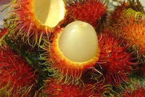 6 loại thực phẩm nên ăn trong mùa đông