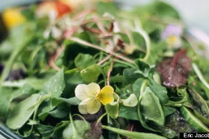 Người trên 50 tuổi thường thiếu những chất nào? 