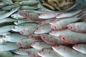 5 điều người suy thận lọc máu phải biết