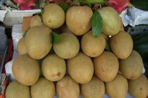 Trái cây tươi ngon nhờ thuốc “đầu lâu xương chéo”