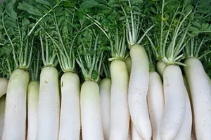 Tác dụng của củ cải trắng