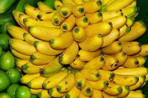 Lợi, hại khi ăn chuối