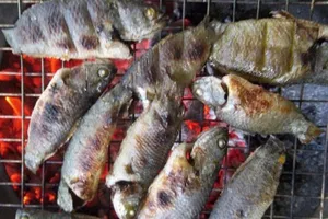 5 cách nấu món cá tốt cho sức khỏe