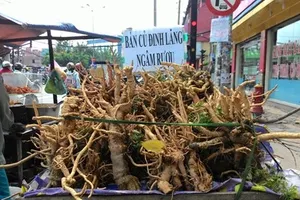 Rượu ngâm rễ cây: Bổ đâu chưa thấy, coi chừng bổ ngửa