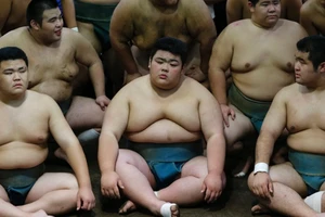 Cận cảnh quá trình 'vỗ béo' sumo Nhật Bản