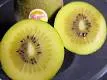 Những lý do bạn nên ăn trái kiwi