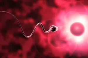 10 điều bạn ít biết về tinh trùng