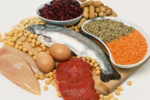 Những điều cần biết về protein