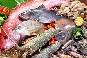 Xử trí thế nào khi bị dị ứng thức ăn?