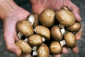 Các loại rau tăng dinh dưỡng khi nấu chín