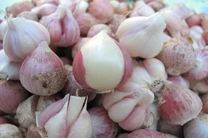 6 thực phẩm giúp gan khỏe mạnh