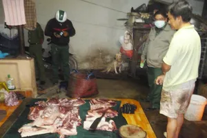Lò mổ heo lậu dọa nhốt đoàn kiểm tra