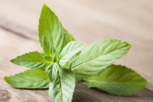 Công dụng làm đẹp ‘thần kì’ của lá bạc hà