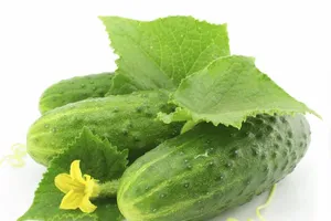 Hiểm họa từ ăn dưa chuột sai cách