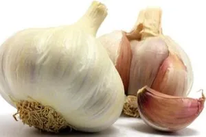 Những công thức làm đẹp bất ngờ từ tỏi