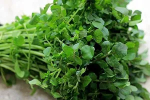 Lợi ích dinh dưỡng bất ngờ của rau cải xoong