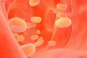 Tác hại do tăng mỡ máu và cách kiểm soát