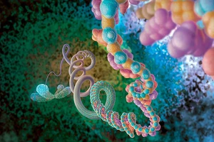 Phát hiện nguy cơ ung thư trước chẩn đoán 13 năm